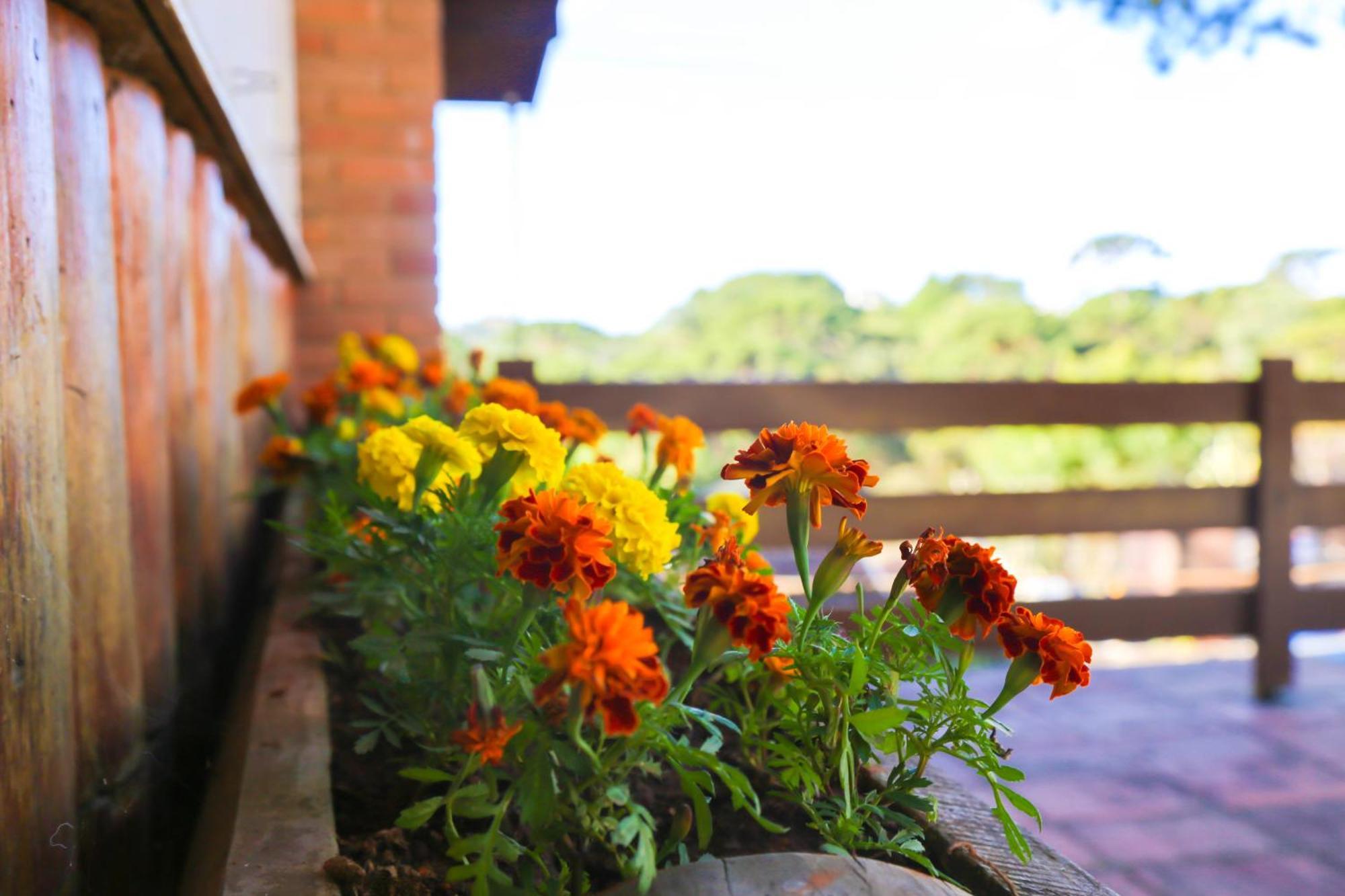 Villa Iturri Campos do Jordão Buitenkant foto
